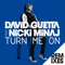 Turn Me On (David Guetta and Laidback Luke Remix) [feat. Nicki Minaj] artwork