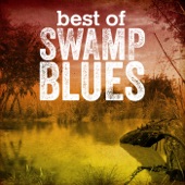Best of Swamp Blues artwork