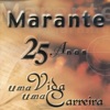 Marante, 25 Anos de uma Vida, Uma Carreira