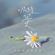 Nameless Flower - Sosohan Project