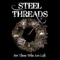 Beautiful Friend - Steel Threads lyrics