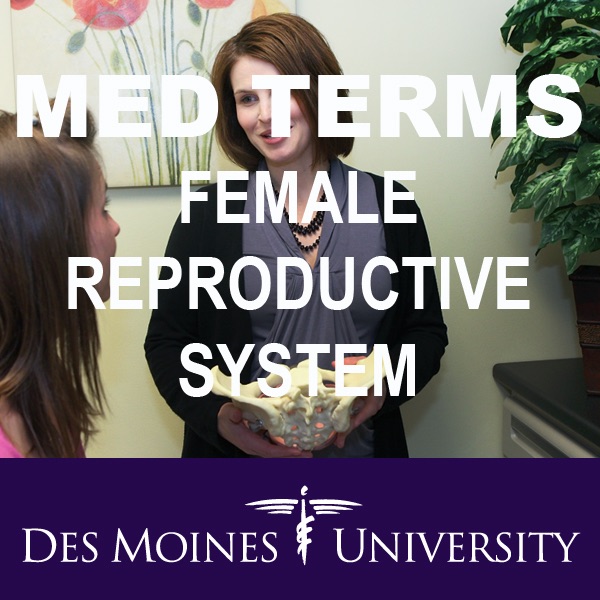 Med Terms: Female Reproductive System cover