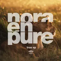 True - EP by Nora En Pure album reviews, ratings, credits