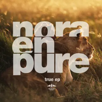 Higher in the Sun (Club Mix) by Nora En Pure song reviws