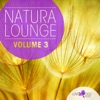 Natura Lounge, Vol. 3, 2014