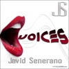 Voices (Remixes) - EP