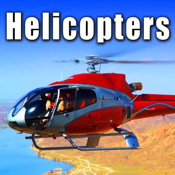 Bell 206B Jet Ranger Helicopter Starts, Idles & Takes Off