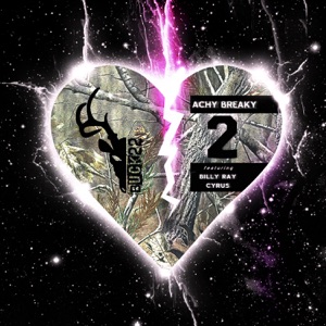 Buck 22 - Achy Breaky 2 (feat. Billy Ray Cyrus) - 排舞 音乐