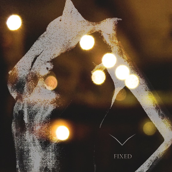Cover artwork for Fixed