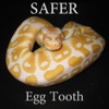 Egg Tooth