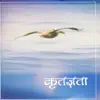Pitu Maat Sahayak Swami song lyrics