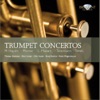 Thomas Hammes, European Chamber Soloists & Nicol Matt - Concerto "Estienne Roger": III. Presto