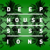 Deep House Sessions (2014) artwork