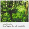 Deer Tracks (For Solo Mandolin)