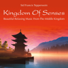Kingdom of Senses: Beautiful Relaxing Music from the Middle Kingdom - Sid Francis Tepperwein