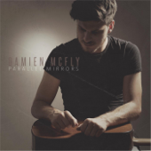 Parallel Mirrors - Damien McFly