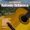 A la Orilla de un Palmar - Antonio Bribiesca lyrics