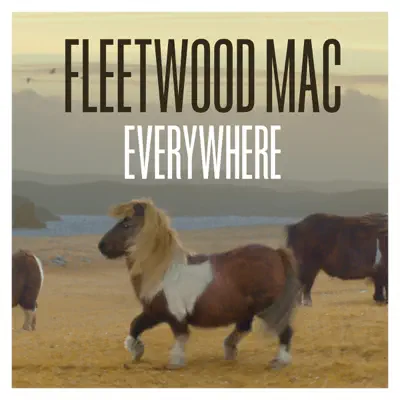 Everywhere (Remastered) - Single - Fleetwood Mac