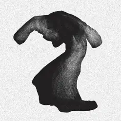 Fragrant World - Yeasayer