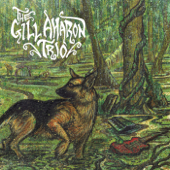 Chapter 1: The Swamp - The Gill Aharon Trio
