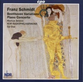 Schmidt: Beethoven Variations - Piano Concerto artwork