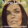 La vendemmia dell'amore - Single