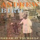 Near Death Experience Experience by Andrew Bird