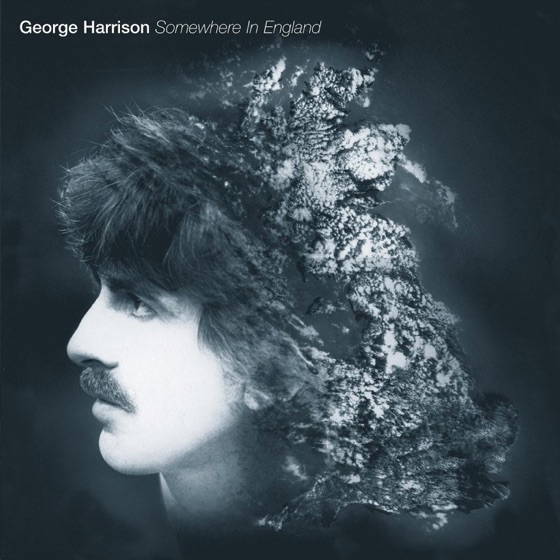 Cover artwork for Teardrops