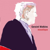 Blues and Trouble - Geraint Watkins