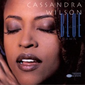 Cassandra Wilson - I Can't Stand the Rain