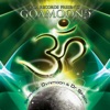 GoaMoon Vol.5 Compiled By Ovnimoon & Dr. Spook (Progressive, Psy Trance, Goa Trance, Minimal Techno, Dance Hits), 2013