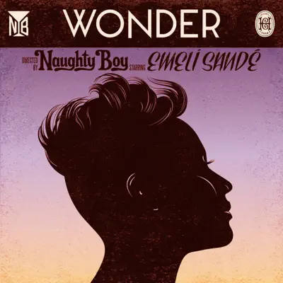 Wonder (feat. Emeli Sandé) - EP - Naughty Boy