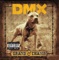 Where the Hood At - DMX lyrics