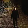 Beija Flor (feat. Luiza Possi) song lyrics