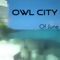 Swimming In Miami - Owl City lyrics