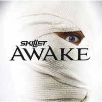 Skillet - Awake artwork