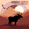 Ambient North - A Chill Out Excursion, Vol. 3