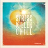 Stress Killer Chill (25 Anti Stress Lounge & Chill out Tunes for Relaxing Moments)