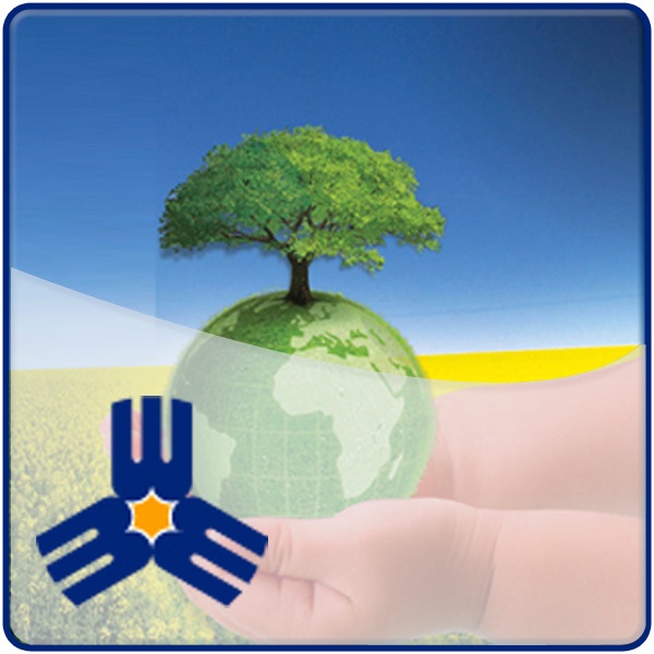 Sustentabilidade cover