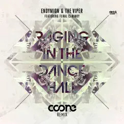 Raging In the Dancehall - Single (feat. Feral is Kinky) - Single by Endymion & The Viper album reviews, ratings, credits