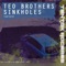 Projects (Alexander Kvitta Remix) - Teo Brothers lyrics