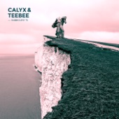 FABRICLIVE 76: Calyx & TeeBee artwork