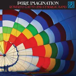 Pure Imagination - Roberto Gatto Pure Imagination - Roberto Gatto
