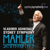 Mahler: Symphony No. 9 artwork