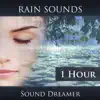 Rain Sounds - 1 Hour album lyrics, reviews, download