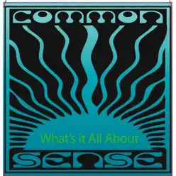 What's It All About - Common Sense What's It All About - Common Sense