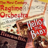 Sun Flower Slow Drag - The New Century Ragtime Orchestra