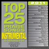 Top 25 Praise Songs Instrumental 2011, 2010