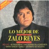 Un Ramito De Violetas by Zalo Reyes iTunes Track 1