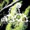 Pitchblack - The Gaia Corporation lyrics